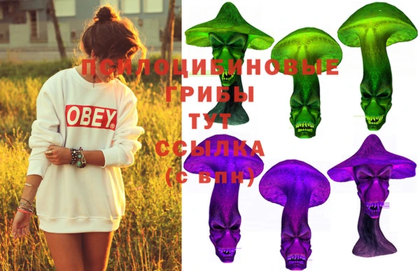 хмурый Наволоки