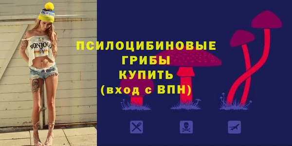 хмурый Наволоки