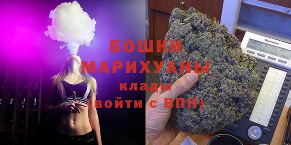 прущие грибы Гусь-Хрустальный