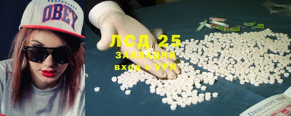 трава Гусев