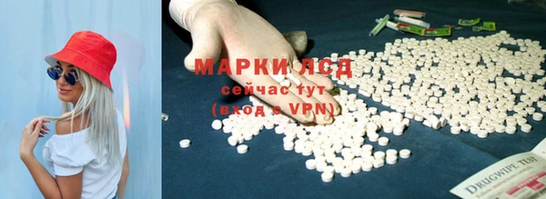 прущие грибы Гусь-Хрустальный