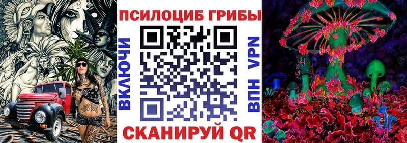 Галлюциногенные грибы MAGIC MUSHROOMS  купить закладку  Пикалёво 